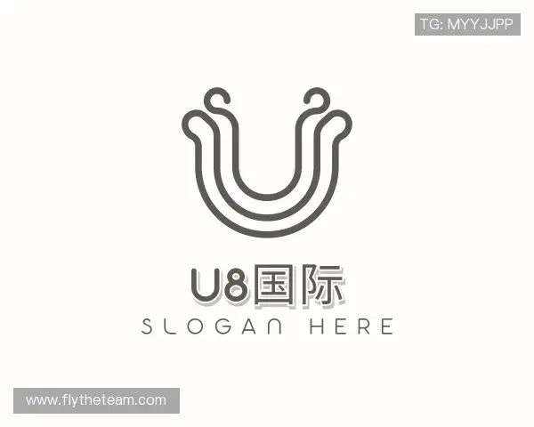 了解U8国际